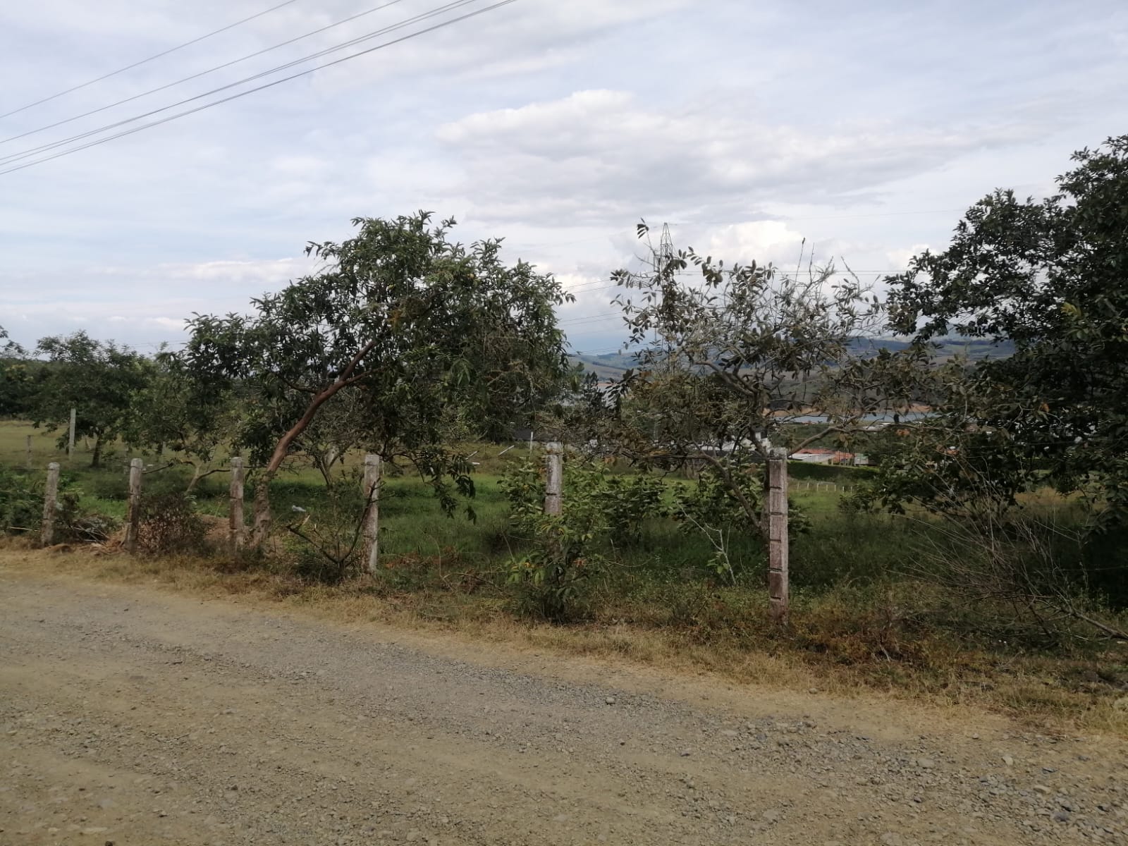 Lote Lago Calima