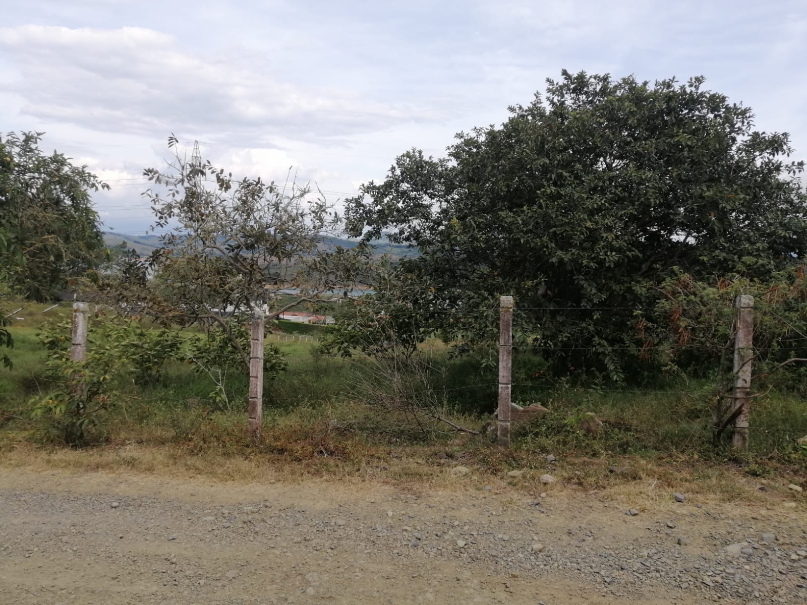 Lote Lago Calima