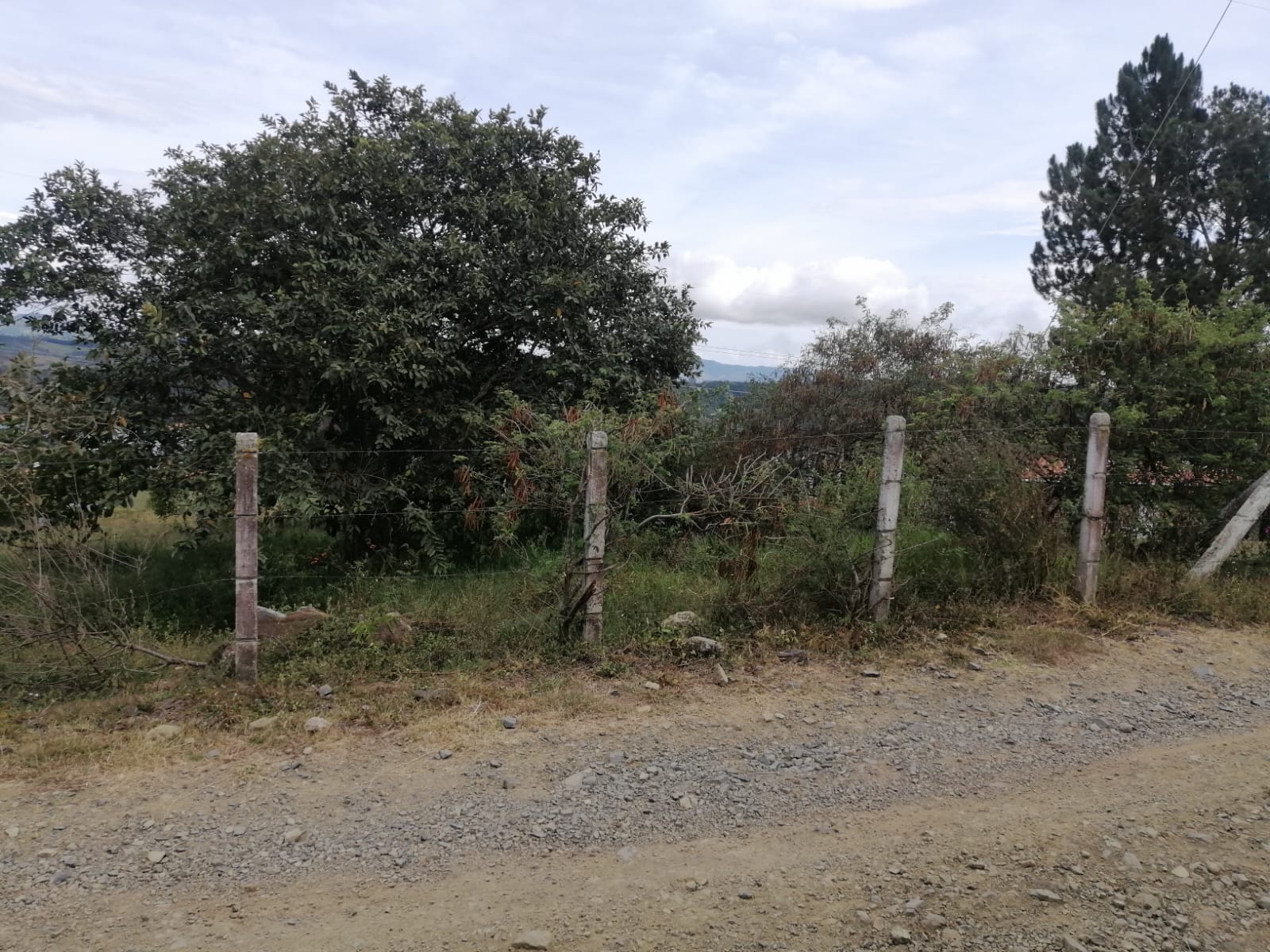 Lote Lago Calima