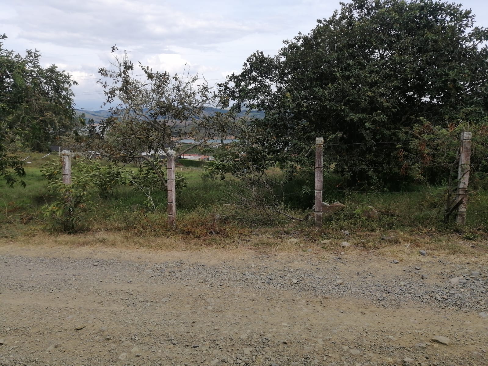 Lote Lago Calima